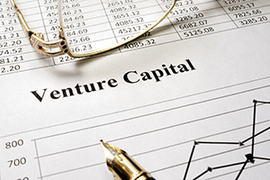 Venture Capital Valuation New Issues